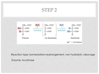 STEP 2
Reaction type: Isomerization-rearrangement, non hydrolytic cleavage
Enzyme: Acotinase
 