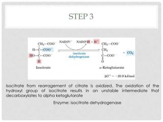 STEP 3
Isocitrate from rearragement of citrate is oxidized. The oxidation of the
hydroxyl group of isocitrate results in an unstable intermediate that
decarboxylates to alpha ketoglutarate
Enzyme: isocitrate dehydrogenase
 