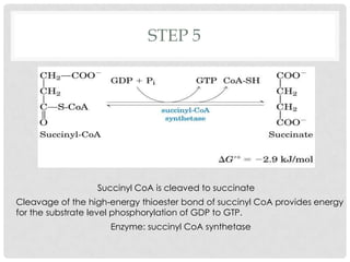 STEP 5
Succinyl CoA is cleaved to succinate
Cleavage of the high-energy thioester bond of succinyl CoA provides energy
for the substrate level phosphorylation of GDP to GTP.
Enzyme: succinyl CoA synthetase
 