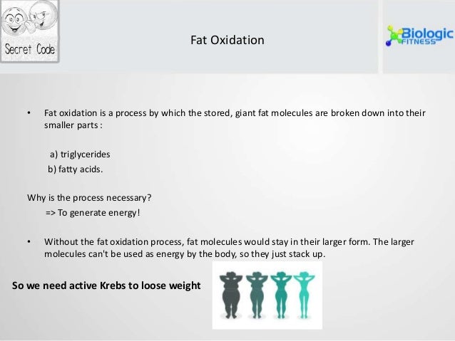 Fat Oxidation And Weight Loss