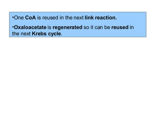 One  CoA  is reused in the next  link reaction. Oxaloacetate  is  regenerated  so it can be  reused  in the next  Krebs cycle .   