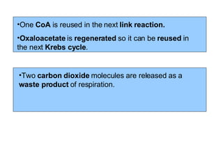 One  CoA  is reused in the next  link reaction. Oxaloacetate  is  regenerated  so it can be  reused  in the next  Krebs cycle .   Two  carbon dioxide  molecules are released as a  waste product  of respiration. 