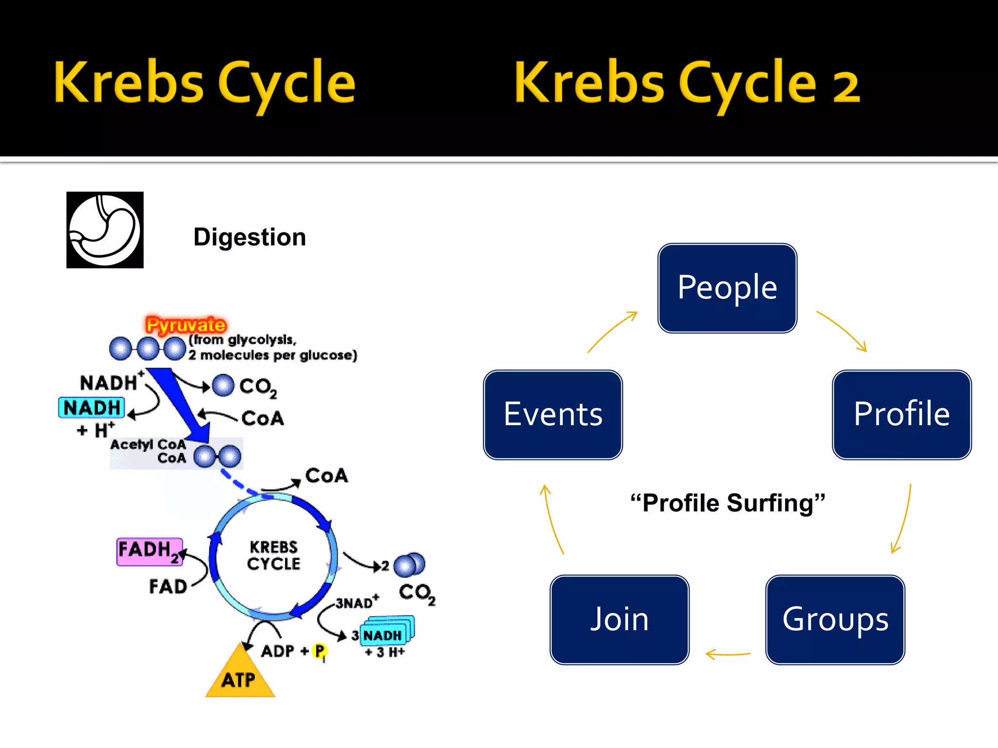 Digestion

                         People


            Events                       Profile

                     “Profile Surfing”



                 Join             Groups
 