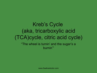 Kreb’s Cycle  (aka, tricarboxylic acid (TCA)cycle, citric acid cycle) “ The wheel is turnin’ and the sugar’s a burnin’” www.freelivedoctor.com 