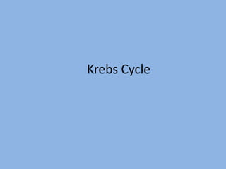 Krebs Cycle
 