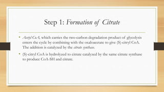 Step 1: Formation of Citrate
• Acetyl CoA, which carries the two-carbon degradation product of glycolysis
enters the cycle by combining with the oxaloacetate to give (S)-citryl CoA.
The addition is catalyzed by the citrate synthase.

• (S)-citryl CoA is hydrolyzed to citrate catalyzed by the same citrate synthase
to produce CoA-SH and citrate.

 