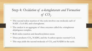 Step 4: Oxidation of α-ketoglutarate and Formation
of CO2
• This second redox reaction of the cycle involves one molecule each of
NAD+, CoA-SH, and α-ketoglurate.

• The catalyst is an aggregate of three enzymes called the α-ketoglutarate
dehydrogenase complex.

• Both redox reaction and decarboxylation occur.
• Three products: CO2, NADH, and the 4-carbon species succinyl CoA.
• This step yields the second molecule of CO2 and NADH in the cycle.

 