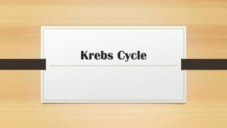 Krebs Cycle

 