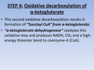 STEP 4: Oxidative decarboxylation of
α-ketogluterate
• This second oxidative decarboxylation results in
formation of “Succinyl CoA” from α-ketogluterate.
• “α-ketogluterate dehydrogenase” catalyzes this
oxidative step and produces NADH, CO₂ and a high-
energy thioester bond to coenzyme-A (CoA).
 