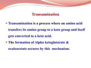 Transanimation Krebs cycle | PPTX