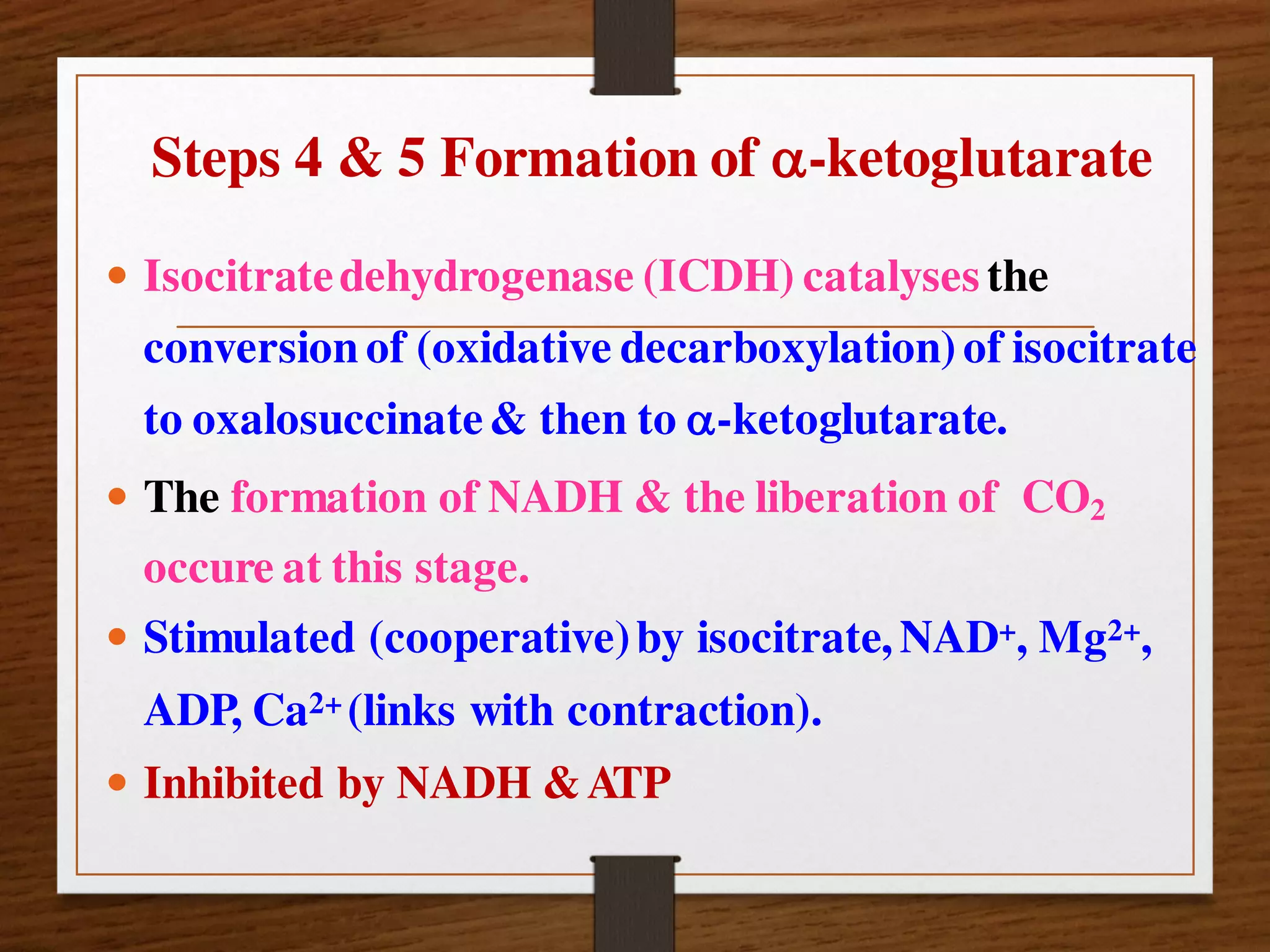 Steps 4 & 5 Formation of -ketoglutarate
 Isocitratedehydrogenase (ICDH) catalyses the
conversion of (oxidative decarboxylation) of isocitrate
to oxalosuccinate& then to -ketoglutarate.
 The formation of NADH & the liberation of CO2
occure at this stage.
 Stimulated (cooperative)by isocitrate, NAD+, Mg2+,
ADP, Ca2+ (links with contraction).
 Inhibited by NADH &ATP
 
