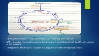 Krebs cycle- significance,steps,energetics,inhibitors,amphibolic | PPTX