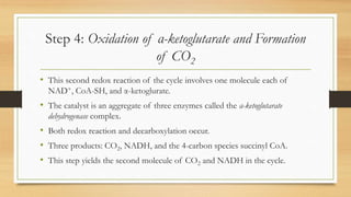 Step 4: Oxidation of α-ketoglutarate and Formation
of CO2
• This second redox reaction of the cycle involves one molecule each of
NAD+, CoA-SH, and α-ketoglurate.
• The catalyst is an aggregate of three enzymes called the α-ketoglutarate
dehydrogenase complex.
• Both redox reaction and decarboxylation occur.
• Three products: CO2, NADH, and the 4-carbon species succinyl CoA.
• This step yields the second molecule of CO2 and NADH in the cycle.
 