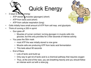 Fermentation (anaerobic)pyruvate  ethanol + CO21C3C2Cpyruvate  lactic acidNADHNAD+NADHNAD+3C3CBacteria, yeastback to glycolysisbeer, wine, bread