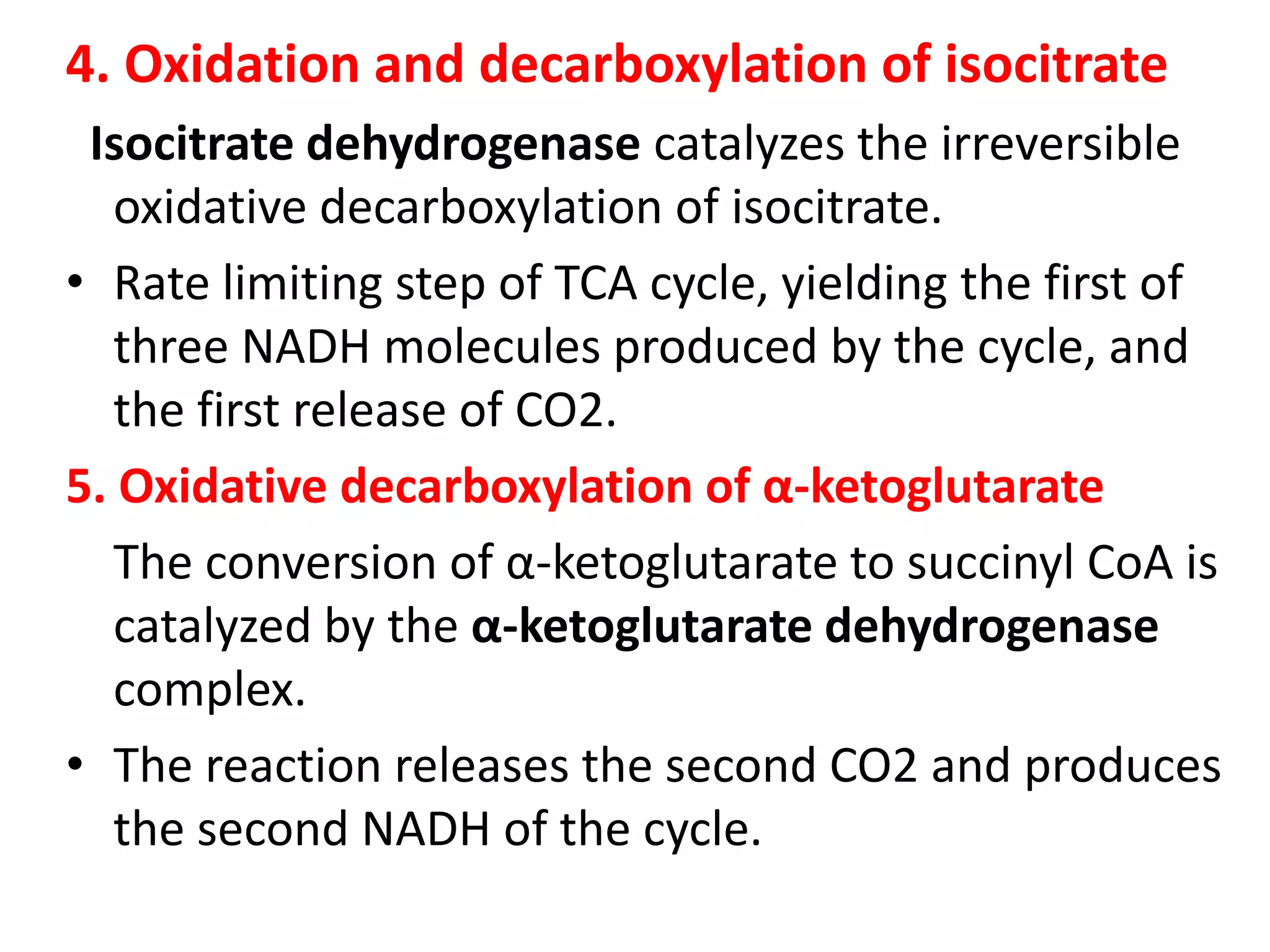 4. Oxidation and decarboxylation of isocitrate
Isocitrate dehydrogenase catalyzes the irreversible
oxidative decarboxylation of isocitrate.
• Rate limiting step of TCA cycle, yielding the first of
three NADH molecules produced by the cycle, and
the first release of CO2.
5. Oxidative decarboxylation of α-ketoglutarate
The conversion of α-ketoglutarate to succinyl CoA is
catalyzed by the α-ketoglutarate dehydrogenase
complex.
• The reaction releases the second CO2 and produces
the second NADH of the cycle.
 