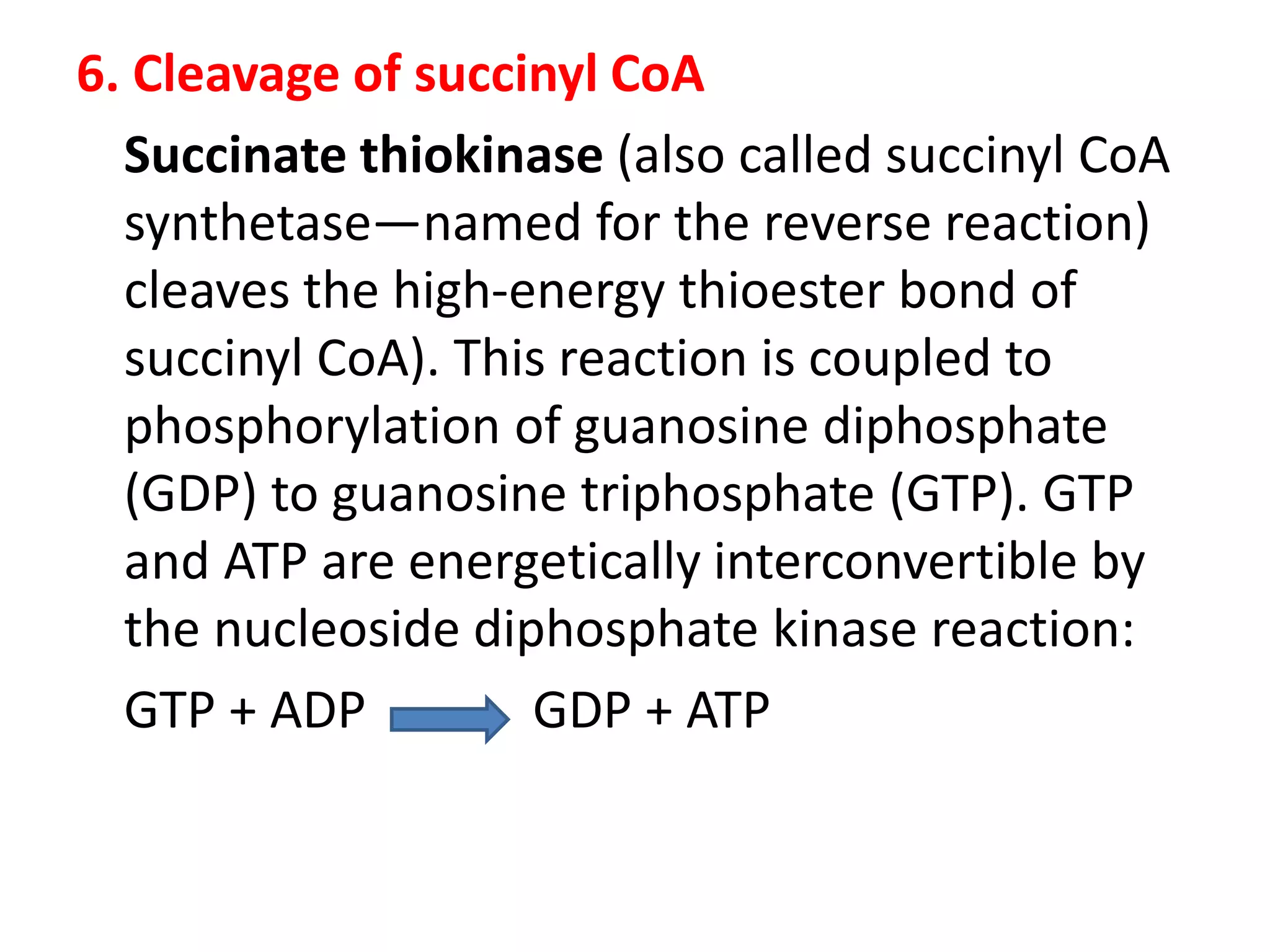 6. Cleavage of succinyl CoA
Succinate thiokinase (also called succinyl CoA
synthetase—named for the reverse reaction)
cleaves the high-energy thioester bond of
succinyl CoA). This reaction is coupled to
phosphorylation of guanosine diphosphate
(GDP) to guanosine triphosphate (GTP). GTP
and ATP are energetically interconvertible by
the nucleoside diphosphate kinase reaction:
GTP + ADP GDP + ATP
 