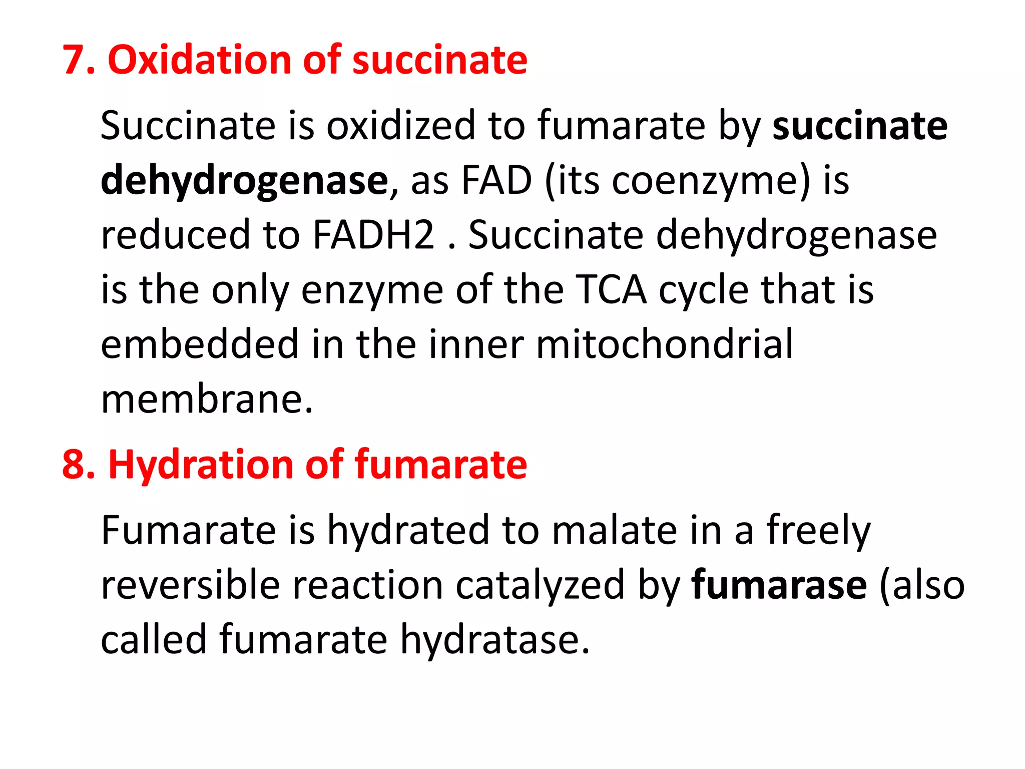 7. Oxidation of succinate
Succinate is oxidized to fumarate by succinate
dehydrogenase, as FAD (its coenzyme) is
reduced to FADH2 . Succinate dehydrogenase
is the only enzyme of the TCA cycle that is
embedded in the inner mitochondrial
membrane.
8. Hydration of fumarate
Fumarate is hydrated to malate in a freely
reversible reaction catalyzed by fumarase (also
called fumarate hydratase.
 