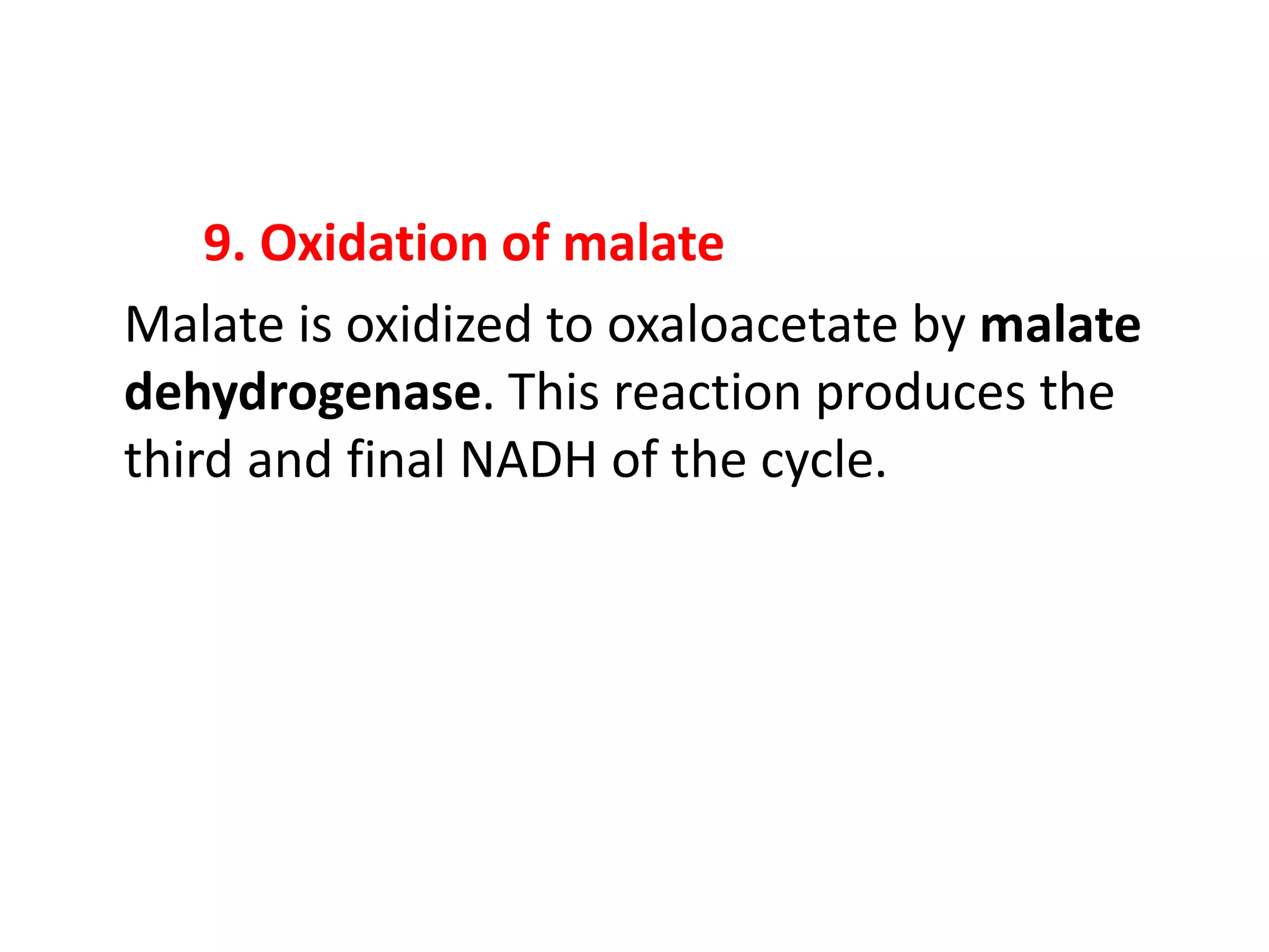 9. Oxidation of malate
Malate is oxidized to oxaloacetate by malate
dehydrogenase. This reaction produces the
third and final NADH of the cycle.
 