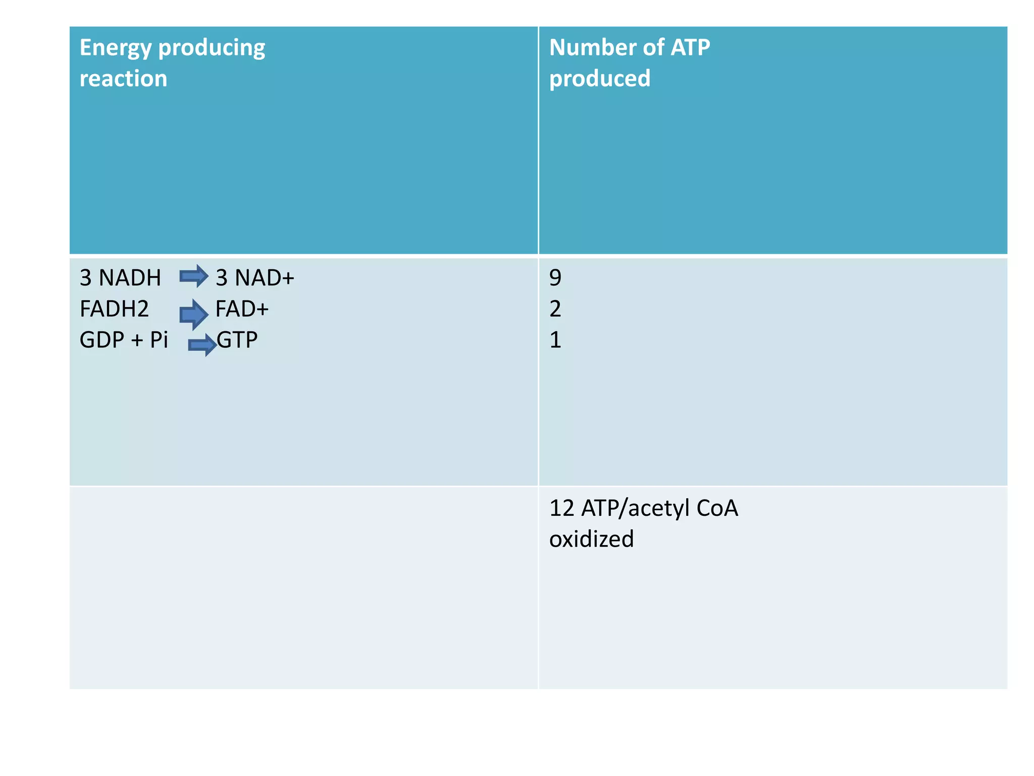 Energy producing
reaction
Number of ATP
produced
3 NADH 3 NAD+
FADH2 FAD+
GDP + Pi GTP
9
2
1
12 ATP/acetyl CoA
oxidized
 