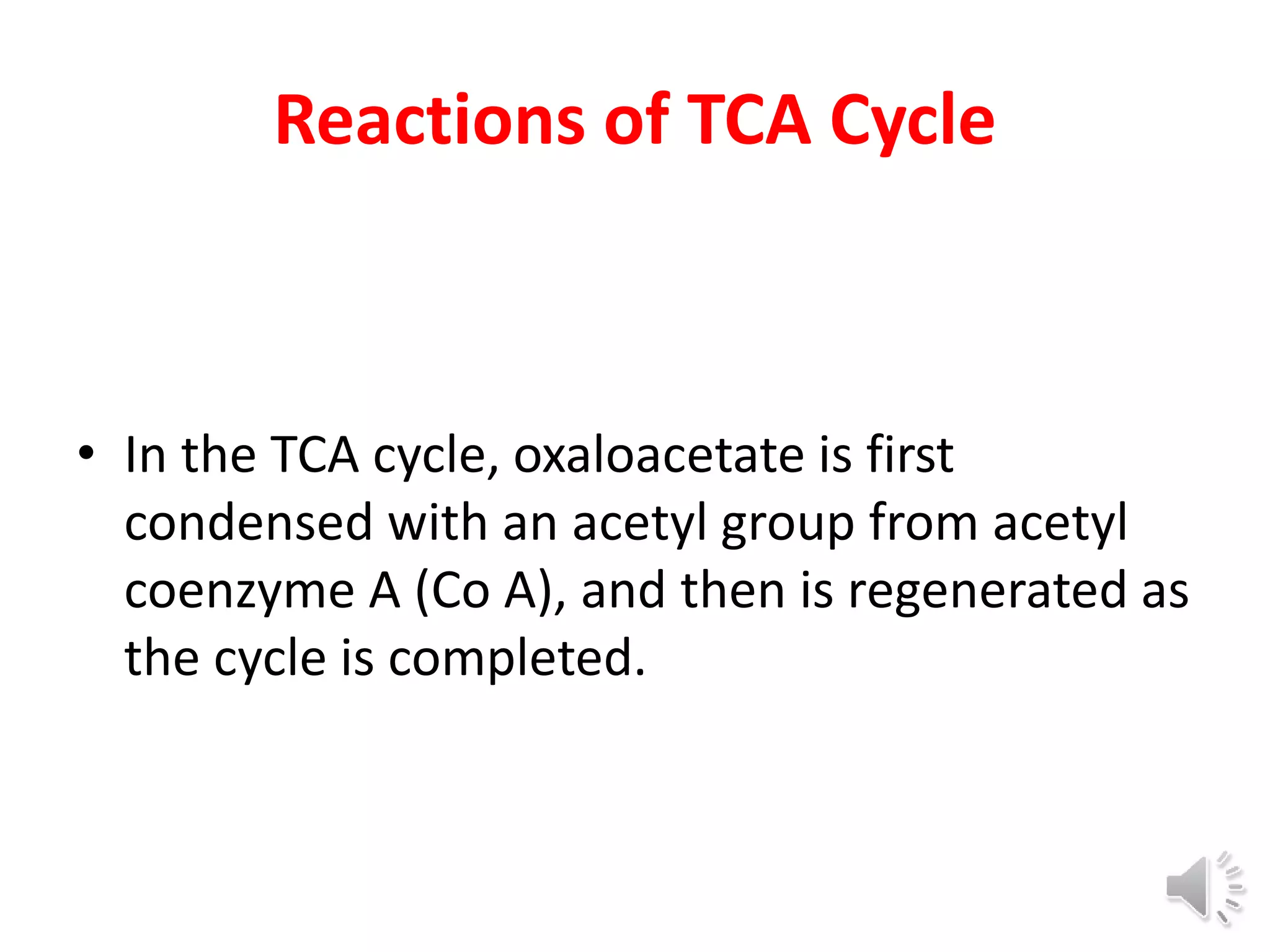 Reactions of TCA Cycle
• In the TCA cycle, oxaloacetate is first
condensed with an acetyl group from acetyl
coenzyme A (Co A), and then is regenerated as
the cycle is completed.
 