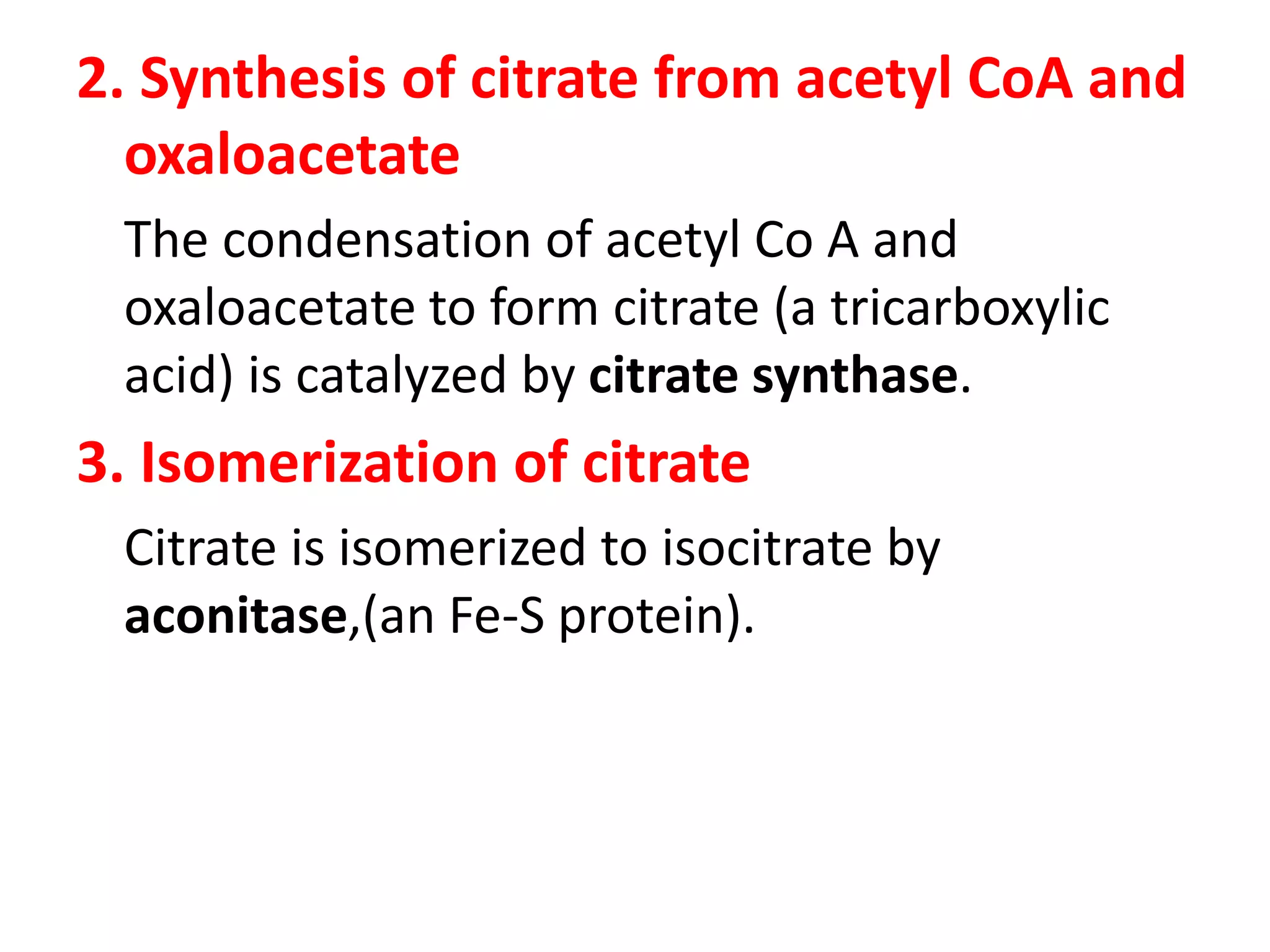 2. Synthesis of citrate from acetyl CoA and
oxaloacetate
The condensation of acetyl Co A and
oxaloacetate to form citrate (a tricarboxylic
acid) is catalyzed by citrate synthase.
3. Isomerization of citrate
Citrate is isomerized to isocitrate by
aconitase,(an Fe-S protein).
 