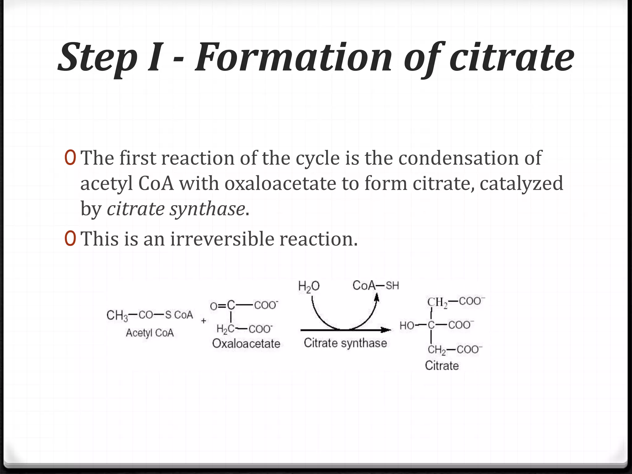 Krebs Cycle Or Citric Acid Cycle Or TCA Cycle PPTX