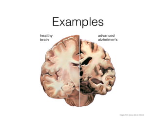 Examples
images from various sites on internet
 