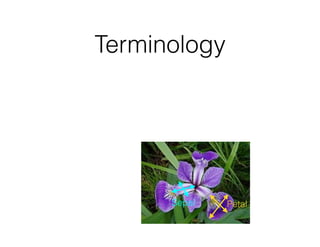 Terminology
PetalSepal
 