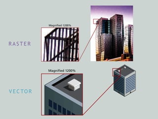 R A S T E R
V E C TO R
 