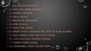 • 1- KUŞ GRIBI (AS AVIAN FLU)
• 2- KENE (TICK-BORNE BABESIA)
• 3- KOLERA (CHOLERA)
• 4- EBOLA (EBOLA)
• 5- PARAZITLER (PARASITES)
• 6- VEBA (PLAGUE)
• 7- LYME (LYME DISASE)
• 8- ZARARLI DENIZ YOSUNLARI (RED TIDES OF ALGAL BLOOMS)
• 9- KIZIL HUMMA, SITMA (RED VALLEY FEVER)
• 10- UYKU HASTALIĞI (SLEEPING SICNESS)
• 11- VEREM (TÜBERCULOSIS)
• 12- SARIHUMMA, SITMA (YELLOW FEVER)
 