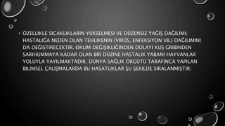• ÖZELLIKLE SICAKLIKLARIN YÜKSELMESI VE DÜZENSIZ YAĞIŞ DAĞILIMI;
HASTALIĞA NEDEN OLAN TEHLIKENIN (VIRÜS, ENFEKSIYON VB.) DAĞILIMINI
DA DEĞIŞTIRECEKTIR. ĐKLIM DEĞIŞIKLIĞINDEN DOLAYI KUŞ GRIBINDEN
SARIHUMMAYA KADAR OLAN BIR DÜZINE HASTALIK YABANI HAYVANLAR
YOLUYLA YAYILMAKTADIR. DÜNYA SAĞLIK ÖRGÜTÜ TARAFINCA YAPILAN
BILIMSEL ÇALIŞMALARDA BU HASATLIKLAR ŞU ŞEKILDE SIRALANMIŞTIR:
 