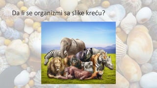 Da li se organizmi sa slike kreću?
 