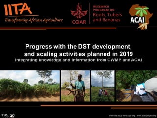 Progress with the DST development,
and scaling activities planned in 2019
Integrating knowledge and information from CWMP and ACAI
www.iita.org | www.cgiar.org | www.acai-project.org
 