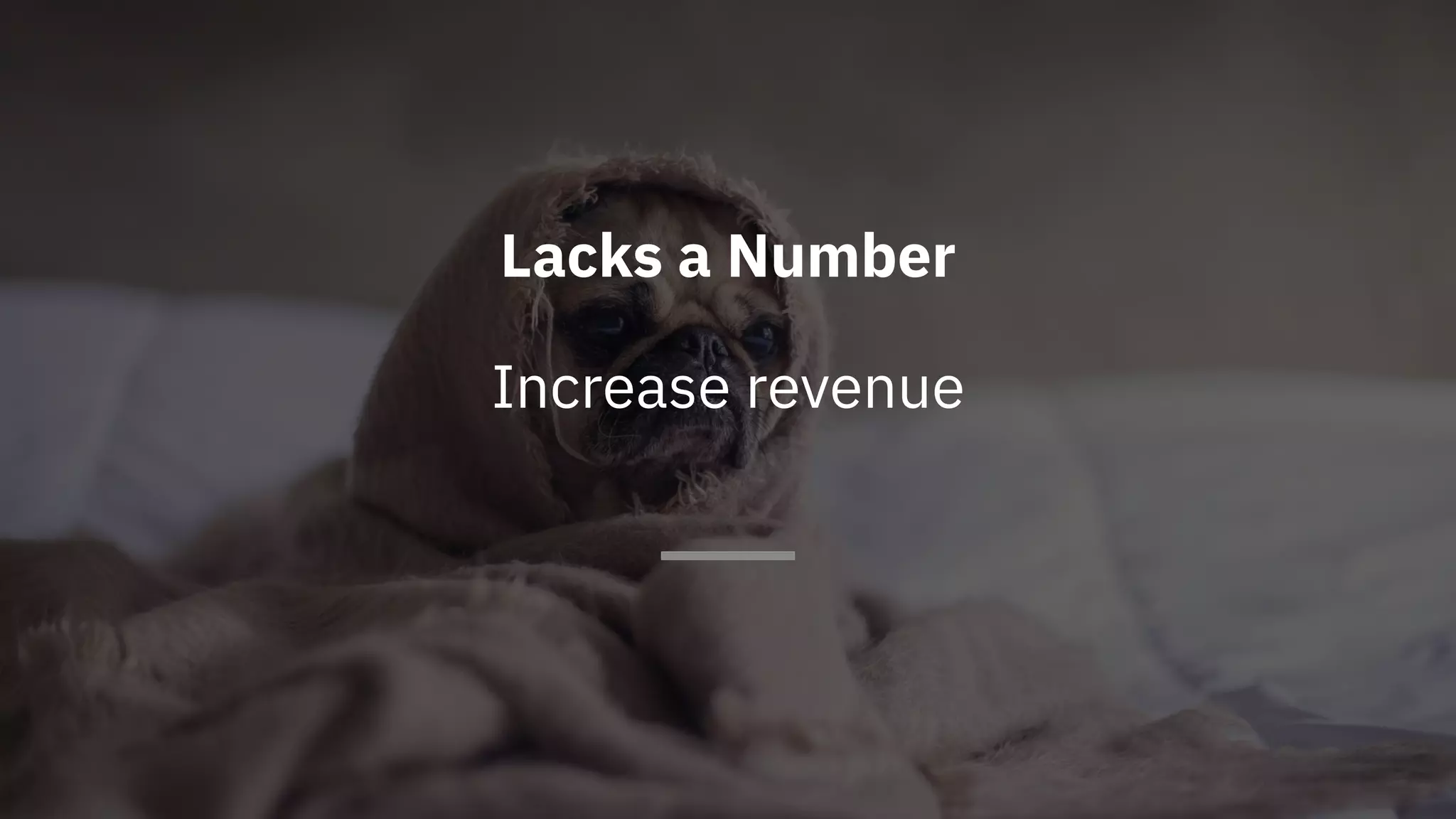 Lacks a Number
Increase revenue
 