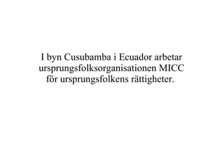 I byn Cusubamba i Ecuador arbetar ursprungsfolksorganisationen MICC för ursprungsfolkens rättigheter.  