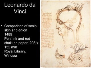 Leonardo da
     Vinci

• Comparison of scalp
  skin and onion
  1489
  Pen, ink and red
  chalk on paper, 203 x
  152 mm
  Royal Library,
  Windsor
 