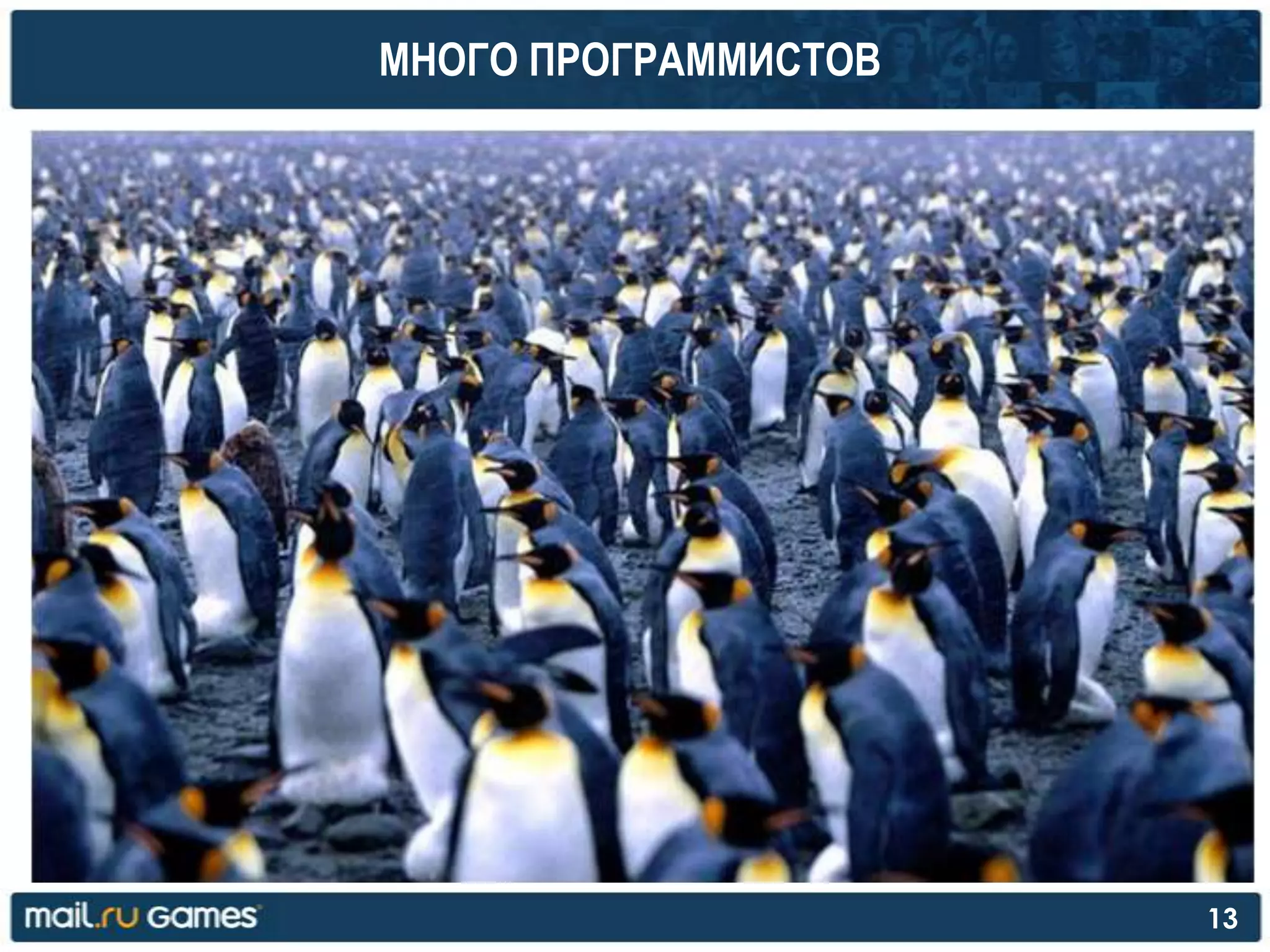 МНОГО ПРОГРАММИСТОВ
13
 