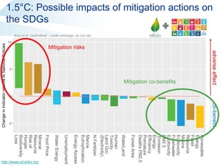 Keywan Riahi (IIASA) - OECD Workshop on “Climate change, Assumptions ...
