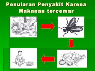 Penularan Penyakit Karena Makanan tercemar 
