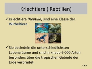 Kriechtiere ( Reptilien)
Kriechtiere (Reptilia) sind eine Klasse der
Wirbeltiere.

Sie besiedeln die unterschiedlichsten
Lebensräume und sind in knapp 6 000 Arten
besonders über die tropischen Gebiete der
Erde verbreitet.

L&L

 