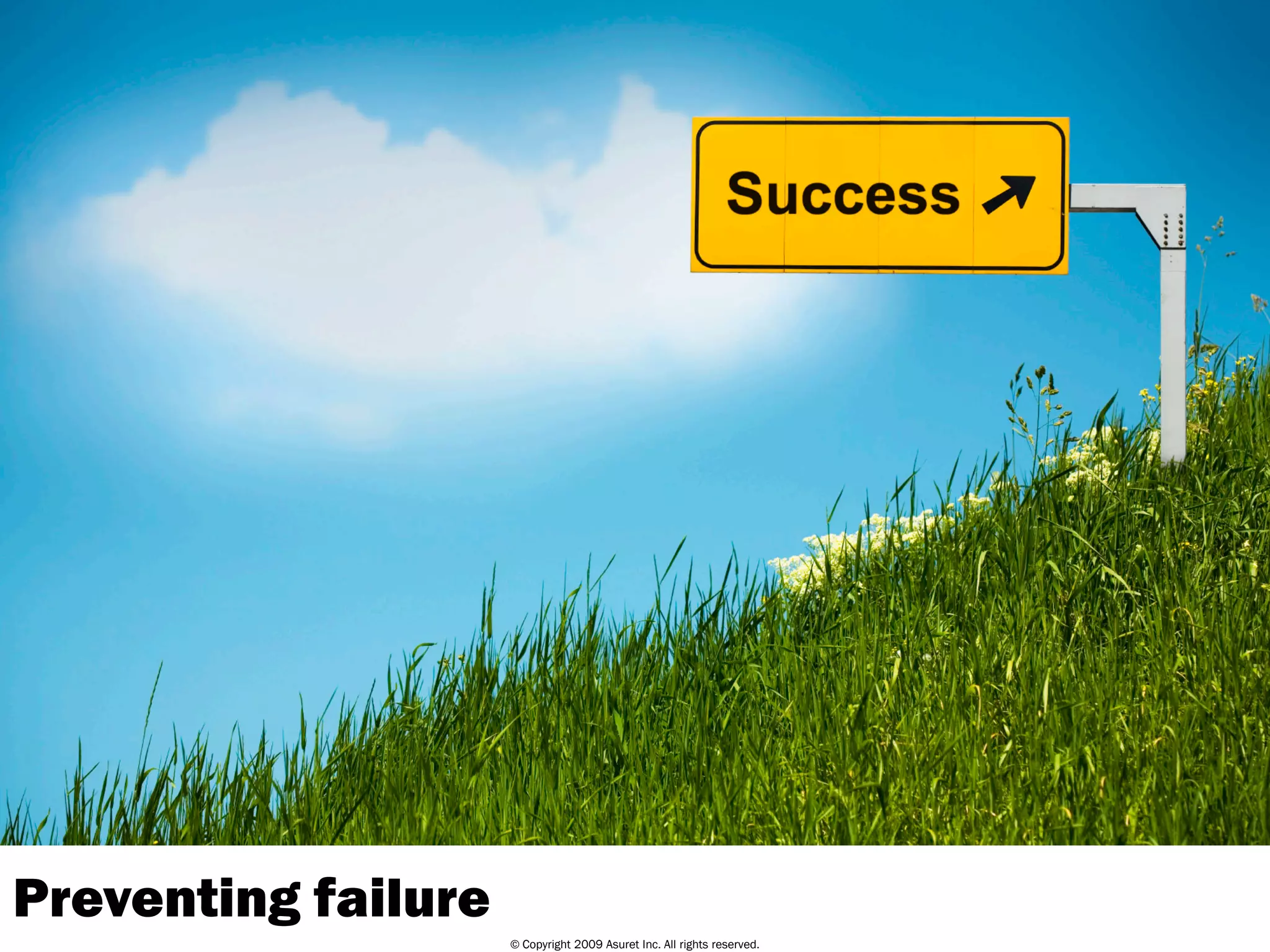 Project Governance and Failure