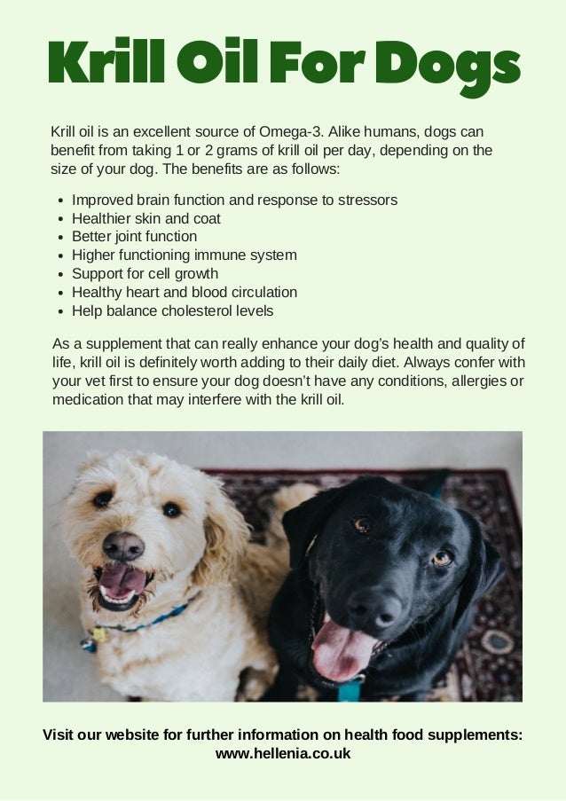benefits of krill oil for dogs