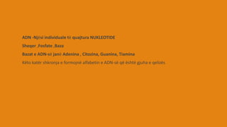 ADN -Njësi individuale të quajtura NUKLEOTIDE
Sheqer ,Fosfate ,Baza
Bazat e ADN-së janë Adenina , Citozina, Guanina, Tiamina
Këto katër shkronja e formojnë alfabetin e ADN-së që është gjuha e qelizës
 