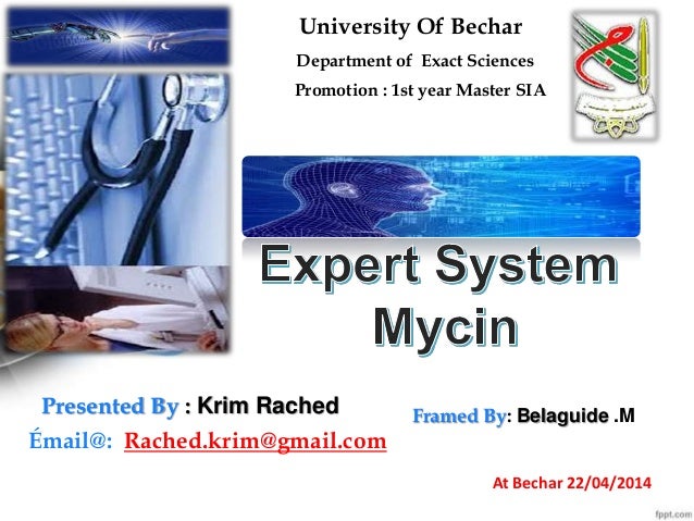 expert system