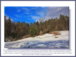Ne vem, čigava kazen je to, ki si jo je zaslužila vsa Slovenija? Je pa huda kazen, kajti pri 130 000 brezposelnih in poleg še
veliki četi lenih in vse manj sposobnih, bomo te prizore gledali vsaj še nekaj let. Upam, da bo Narava sama naredila po
zimskem receptu s snegom: če ga je Bog dal, ga naj pa še pobere! Ko pa vsi kurimo ono vražje drago arabsko in ameriško
nafto po evro za liter. Je hudič, ko postaneš “gospod”…
 