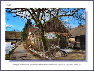 Nekaj je cesta skopana, pa zavijeva desno za vasico Pevno. Pa najdeva še kaj novega med potjo.
PEVNO
 