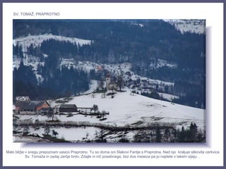 Malo bližje v snegu prepoznam vasico Praprotno. Tu so doma oni Slakovi Fantje s Praprotna. Nad njo kraljuje slikovita cerkvica
Sv. Tomaža in zadaj Jarčje brdo. Zdajle ni nič posebnega, čez dva meseca pa jo najdete v takem sijaju…
SV. TOMAŽ, PRAPROTNO
 