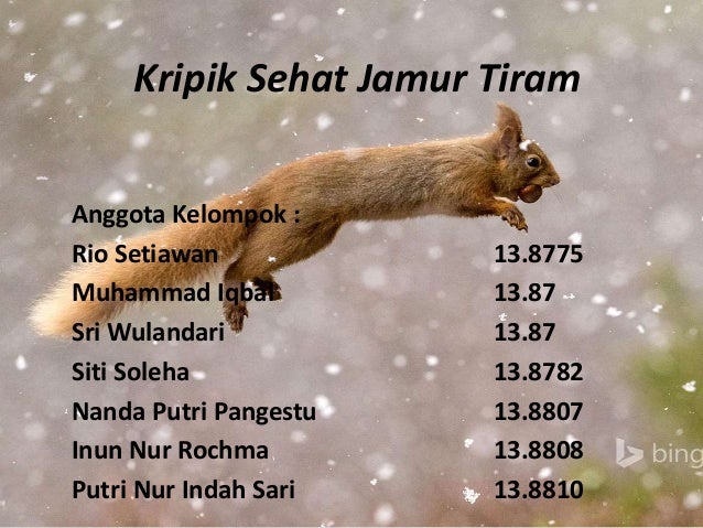 Planning usaha Kripik sehat jamur tiram