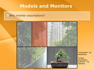Models and Monitors Why monitor assumptions? “ monteverde” - By baxterclaus “ Juniper procumbens 5-26-09 2” - By OpenEye