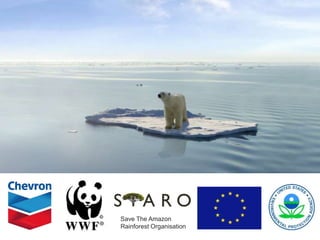. 
Save The Amazon 
Rainforest Organisation 
 